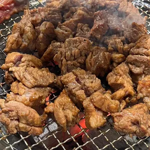 갈비꽃 사진