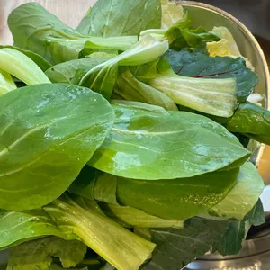 채선당 사진