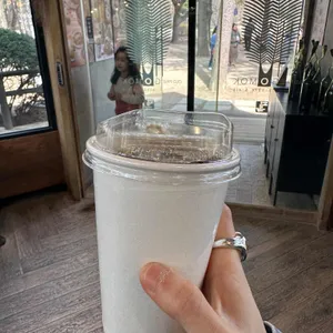 고목 사진