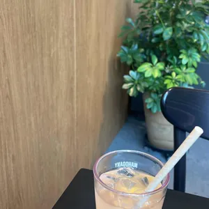 마호가니 사진