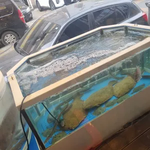 남동어시장 리뷰 사진