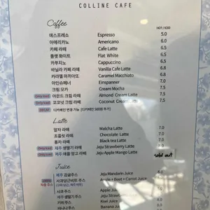 콜린 리뷰 사진