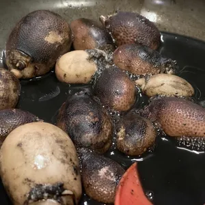 세은이네 리뷰 사진