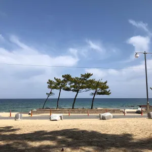 게네집 사진