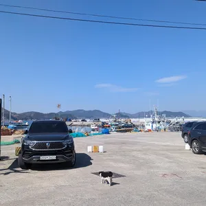 거장물총칼국수 리뷰 사진