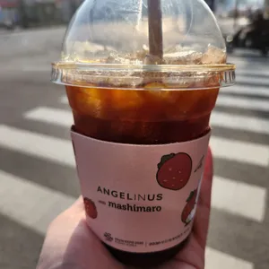 엔제리너스 사진