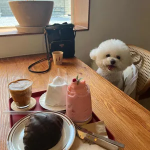 카페라핀 사진