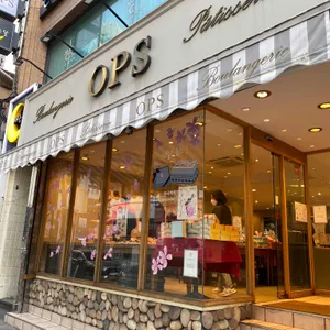 옵스 리뷰 사진