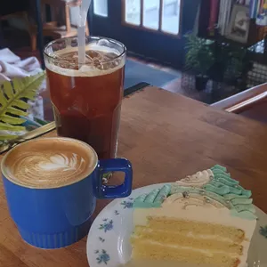 데코아 발림 사진