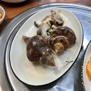 똘똘이바다장어 사진