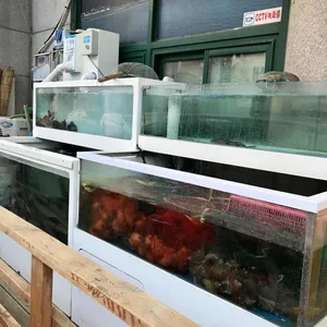 똘똘이바다장어 대표 사진