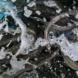 똘똘이바다장어 대표 사진