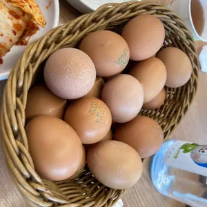 북창동순두부 리뷰 사진