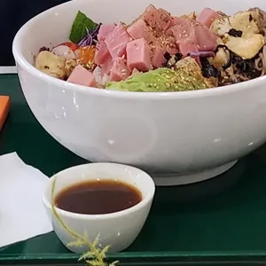 포케올데이 사진