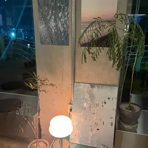 엔노프 커피 리뷰 사진
