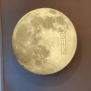 읍천리382 리뷰 사진