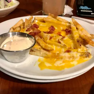 아웃백 스테이크하우스 리뷰 사진