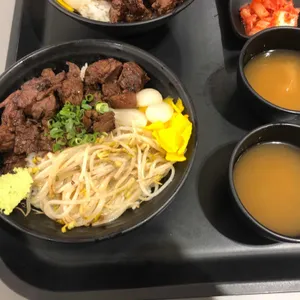홍대개미 사진