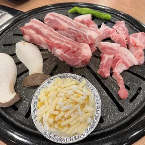 정점에 올라돼지 사진