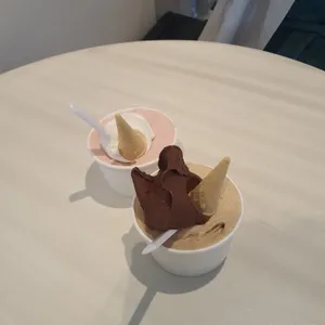 코지 사진