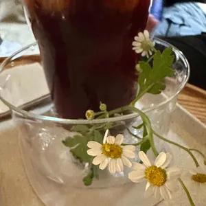 레레플레이 리뷰 사진