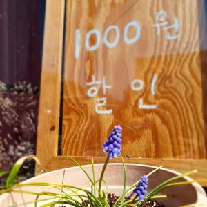 고산별이아름답다 리뷰 사진