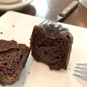 코에 사진