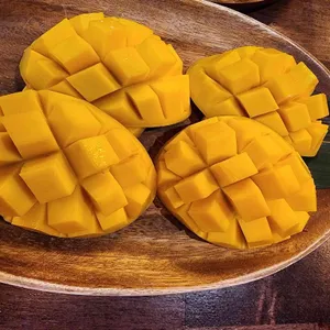 엉클스보라카이 사진
