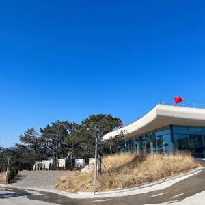 AOP 리뷰 사진