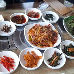 신토오리 사진
