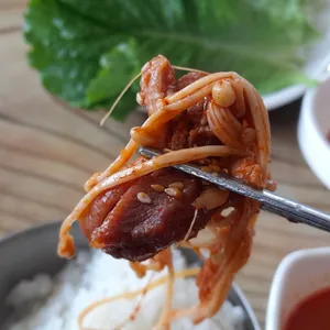 신토오리 사진