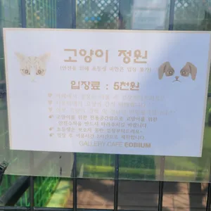 갤러리카페 어비움 리뷰 사진