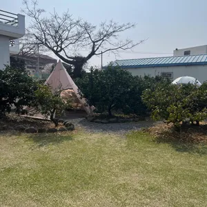 비스마일 리뷰 사진