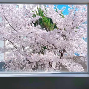 아킨니 리뷰 사진