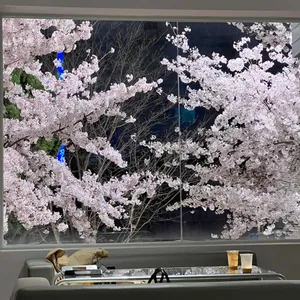 아킨니 리뷰 사진