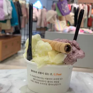지파시 사진