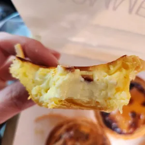 코메아벨렘 사진