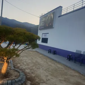 도감어가 리뷰 사진