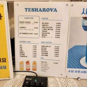 테샤로바 리뷰 사진