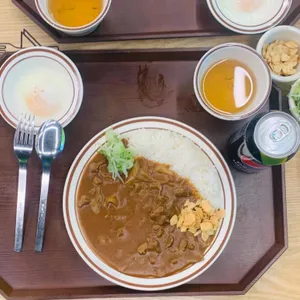 아비꼬 사진