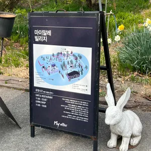 마이알레 리뷰 사진