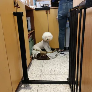 뉴탭 리뷰 사진