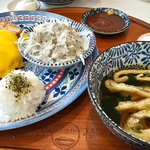 백소정 사진