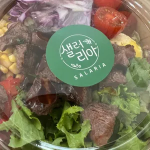 샐러리아 사진