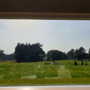 비케이브 리뷰 사진