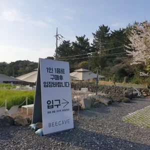 비케이브 리뷰 사진
