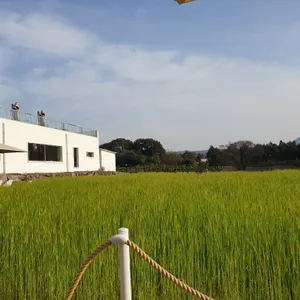 비케이브 리뷰 사진