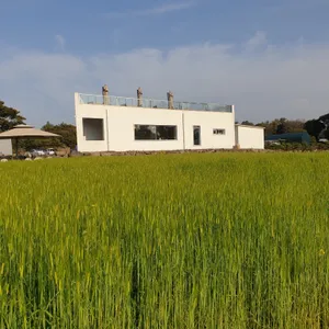 비케이브 리뷰 사진