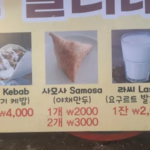 파키스탄 알리네 사진