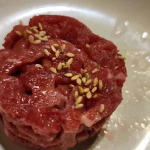 참치야 사진